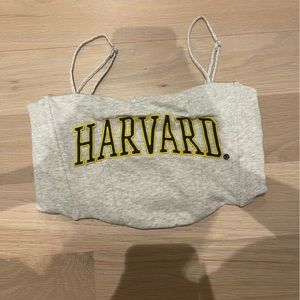 Harvard Zara top corset